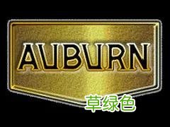 美国汽车品牌及车标大全 欧美名字库