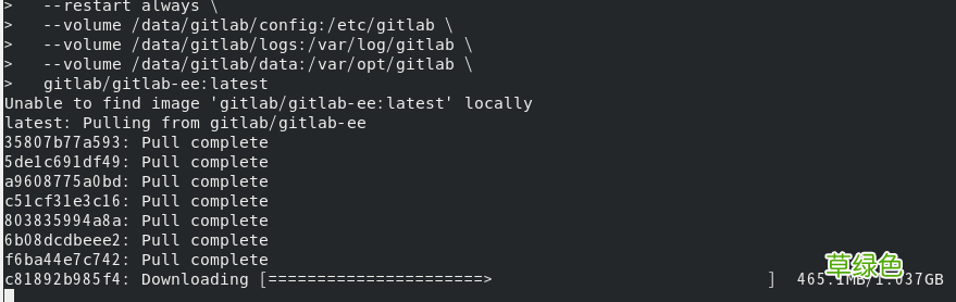 基于CentOS8系统使用Docker搭建Gitlab的详细教程