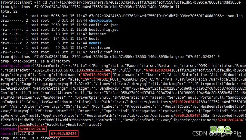 Docker 创建容器后再修改 hostname的详细过程