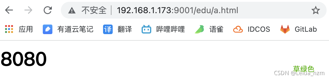 Nginx反向代理学习实例教程