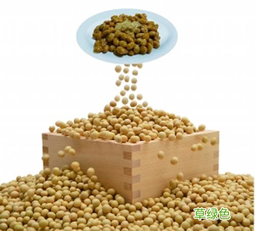 纳豆的功效与作用纳豆如何制作 纳豆的功效与作用