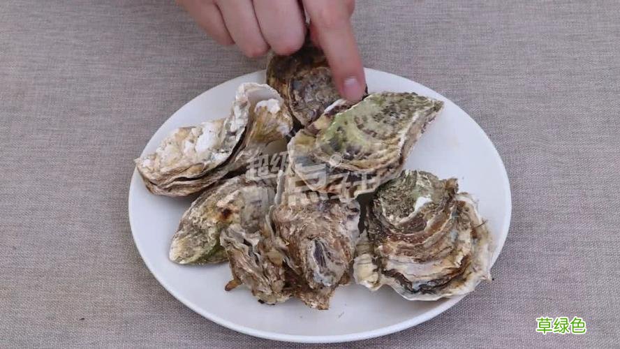 生蚝怎么保存时间最久 生蚝怎么保存