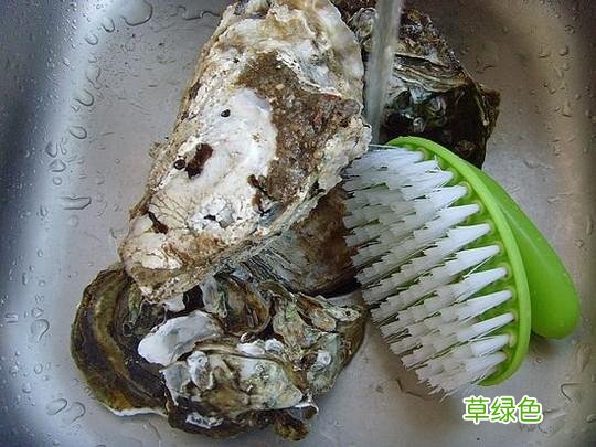 生蚝怎么保存时间最久 生蚝怎么保存