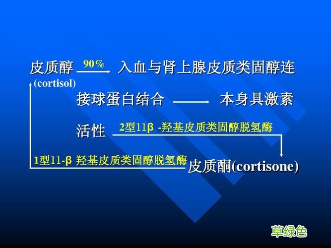 皮质类固醇激素药物 皮质类固醇激素