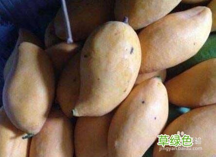 芒果怎么催熟最快方法 芒果怎么催熟
