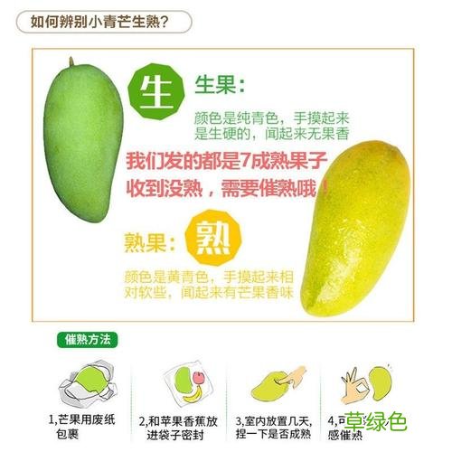 芒果怎么催熟最快方法 芒果怎么催熟