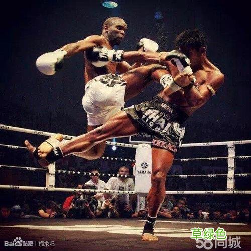 泰拳和散打哪个厉害 散打vs泰拳