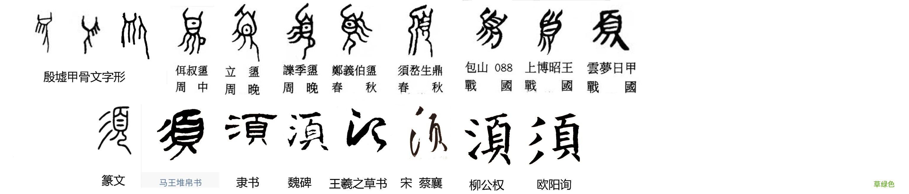 汉字探源：须及须姓 樊字繁体怎么写
