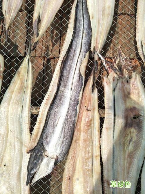 海鳗鱼干怎么做好吃又简单 鳗鱼干怎么吃
