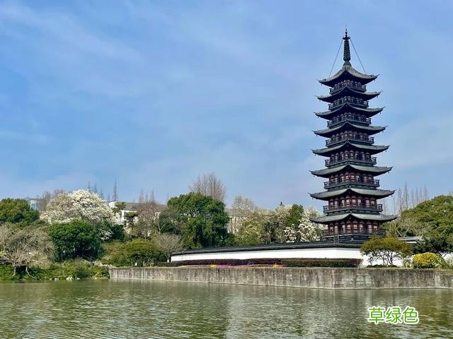 玉兰正逢盛花期，一波“云赏花”走起 测测你的古代名字
