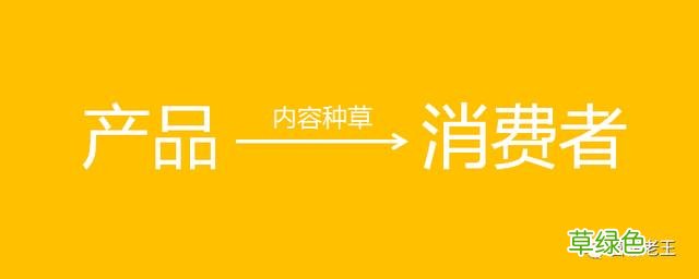做品牌，要不要花很多钱？ 测商品名字