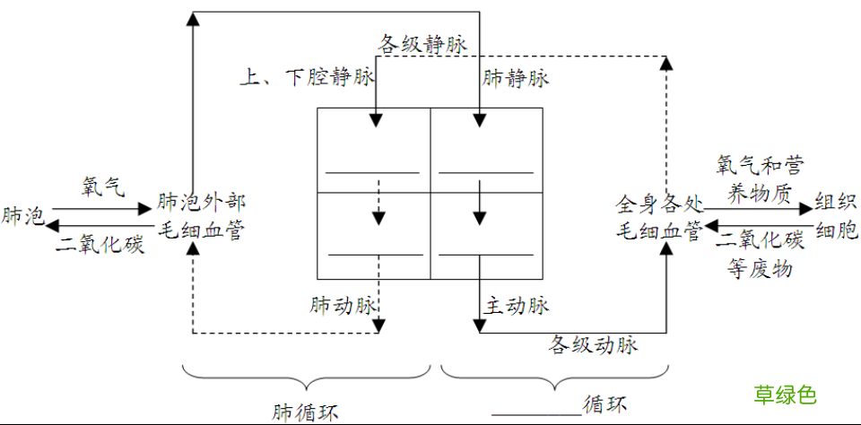 吃什么可以促进血液循环 如何促进血液循环