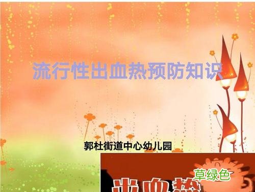 出血热能治好吗 出血热传染吗