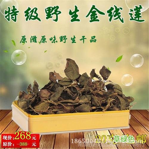 金线莲的功效与作用 多少钱一斤 金线莲养生茶的功效与作用