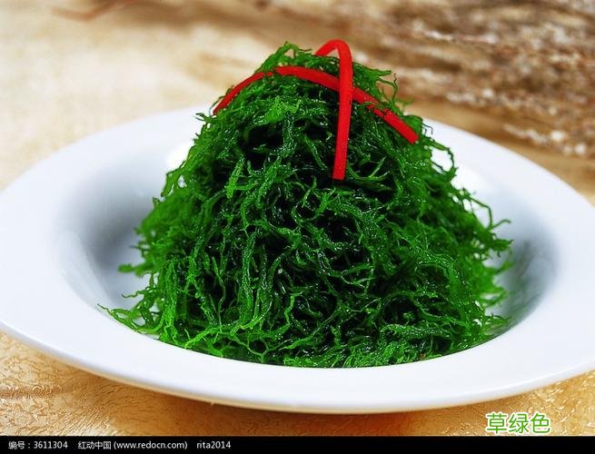 什么是龙须菜图片 什么是龙须菜