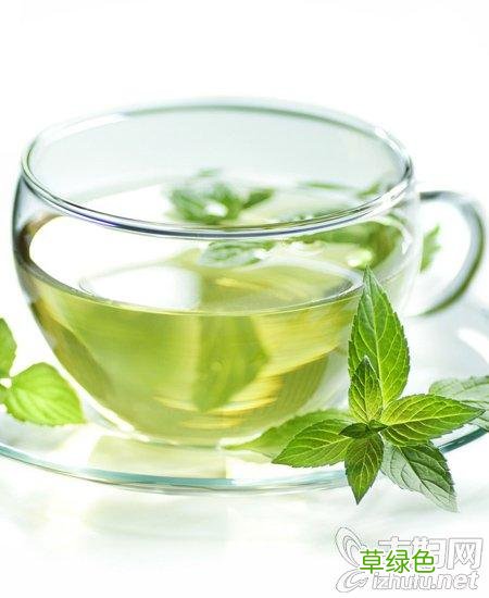 哪种减肥茶效果最快最安全 哪种茶减肥效果好