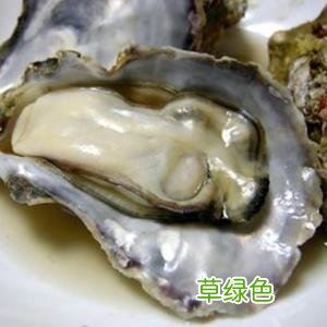 生蚝的功效与作用 生蚝的功效与作用
