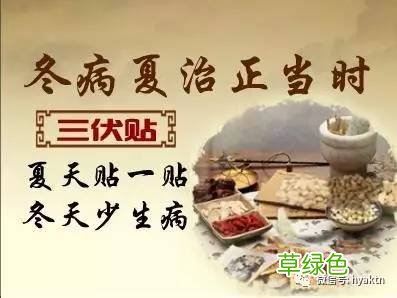 三伏贴有什么功效皮肤病 三伏贴有什么功效