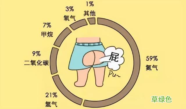 屁多怎么回事 屁多怎么回事