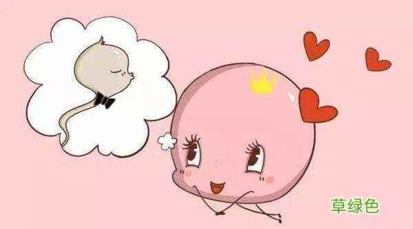 大龄女性如何提高卵子质量 如何提高卵子质量