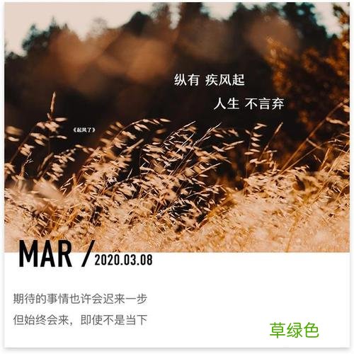纵有疾风起人生不言弃保罗