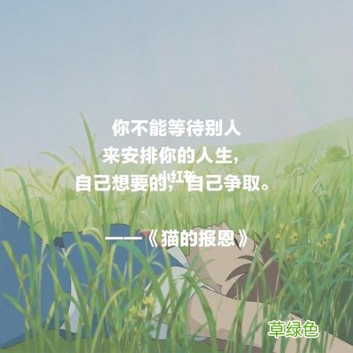 纵有疾风起人生不言弃保罗
