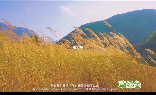 起风了 纵有疾风起 起风了纵有疾风起是什么歌