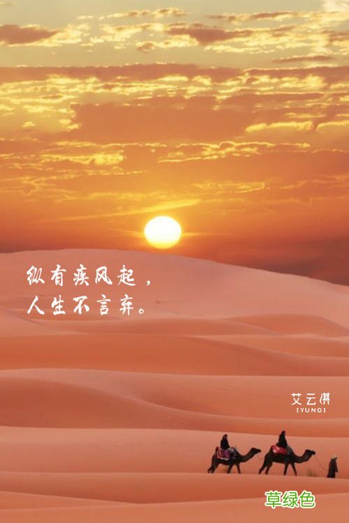 导游小帅说过纵有疾风起