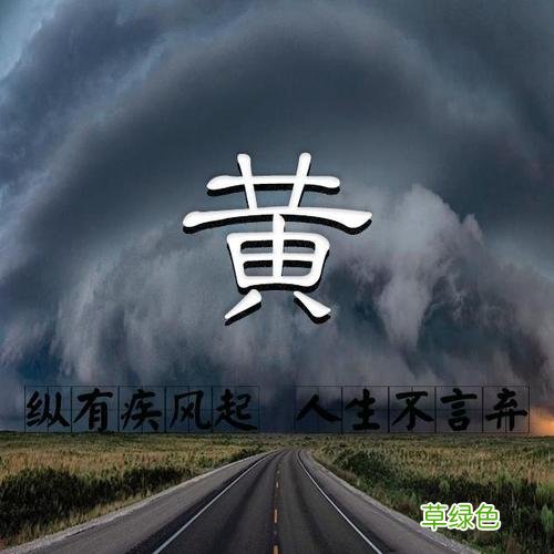 纵有疾风起在线观看 播放纵有疾风起