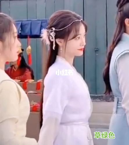 清风朗月花正开分集介绍