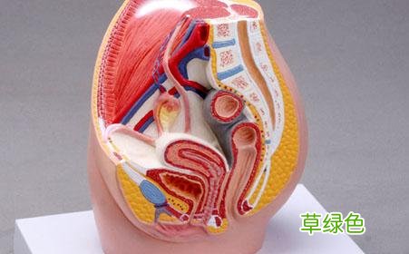 盆腔炎的治疗方法及方药有哪些 盆腔炎的治疗