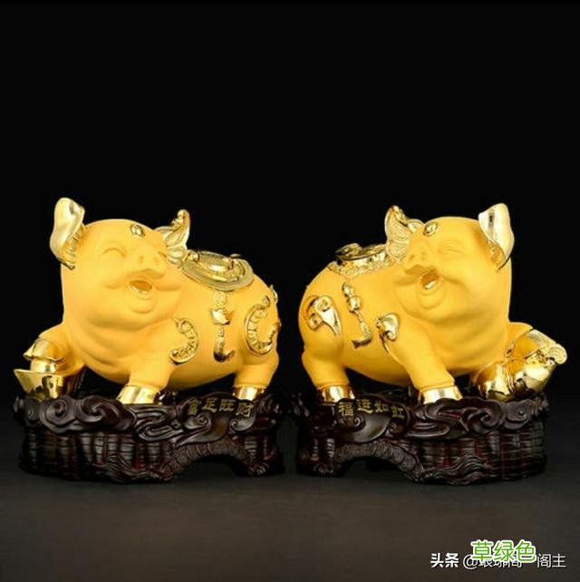 中国十二生肖的由来——猪 猪什么生肖