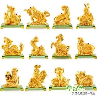 中国十二生肖的由来——猪 猪什么生肖
