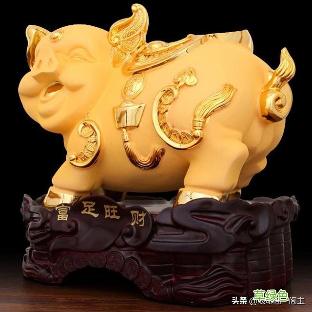 中国十二生肖的由来——猪 猪什么生肖
