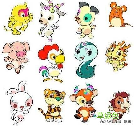 中国十二生肖的由来——猪 猪什么生肖