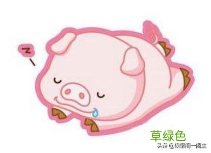 中国十二生肖的由来——猪 猪什么生肖