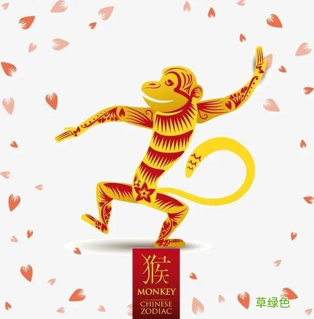 华夏风范丨十二生肖：猴 猴子属什么类