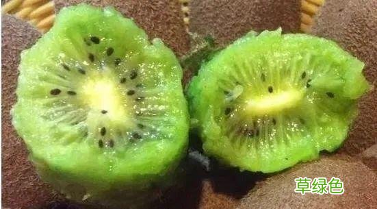 猕猴桃催熟方法又不烂 猕猴桃催熟方法