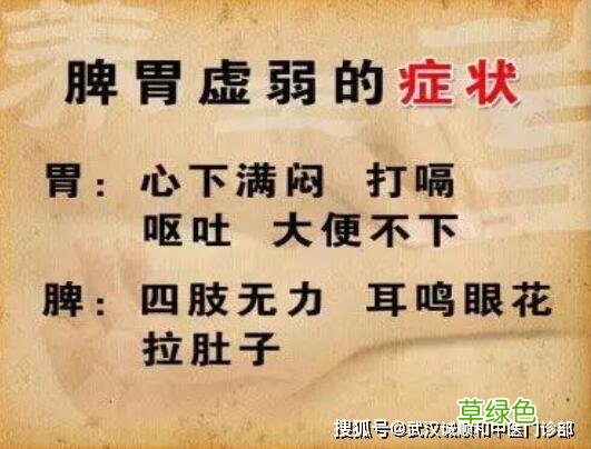 脾胃虚弱怎样调理 脾胃虚弱怎样调理