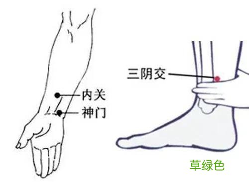 三阴焦位置图和作用 三阴交穴位图
