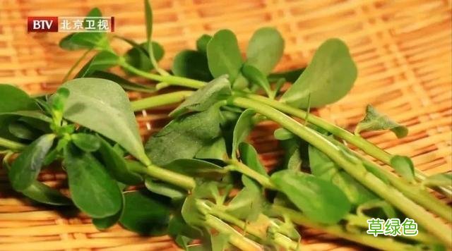 这6种蔬菜不焯水千万别吃！伤肠胃、没营养，为家人着想别偷懒 焯五行属什么
