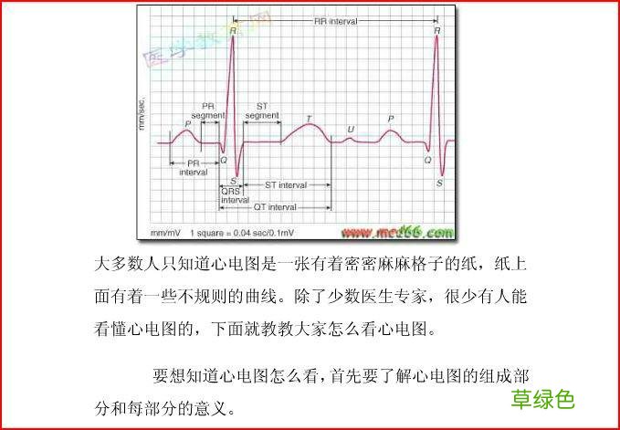 动态心电图费用 如何看心电图