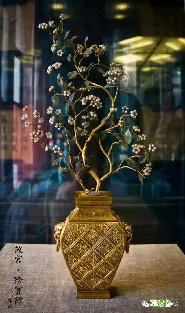 已经是找不到形容词来形容这些东西了！看完 没有什么遗憾！ 珠五行属什么