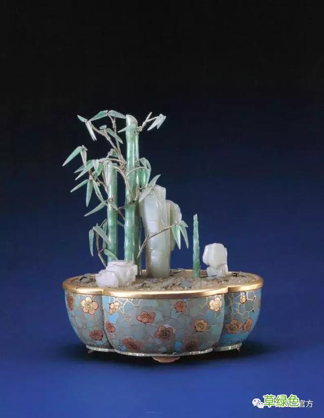 已经是找不到形容词来形容这些东西了！看完 没有什么遗憾！ 珠五行属什么