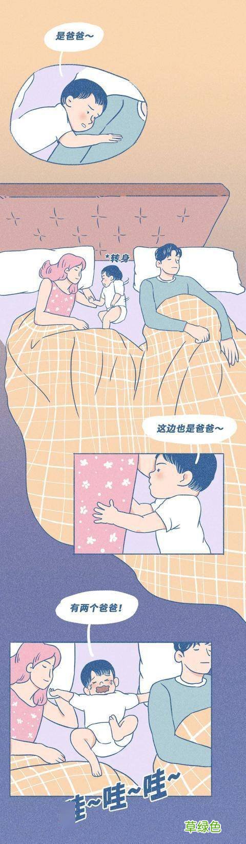 乳酸菌的作用与功效 动漫作用与功效