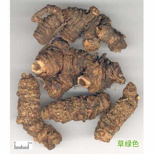 中药羌活的作用与功效 羌活的作用与功效