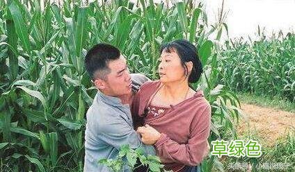 爷爷是抗战老兵，孙子在日企，硬是追着他满村打，结果一句话化解 王诗名字怎么样
