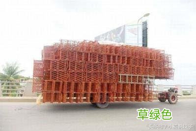 爷爷是抗战老兵，孙子在日企，硬是追着他满村打，结果一句话化解 王诗名字怎么样