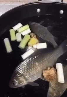 爷爷是抗战老兵，孙子在日企，硬是追着他满村打，结果一句话化解 王诗名字怎么样
