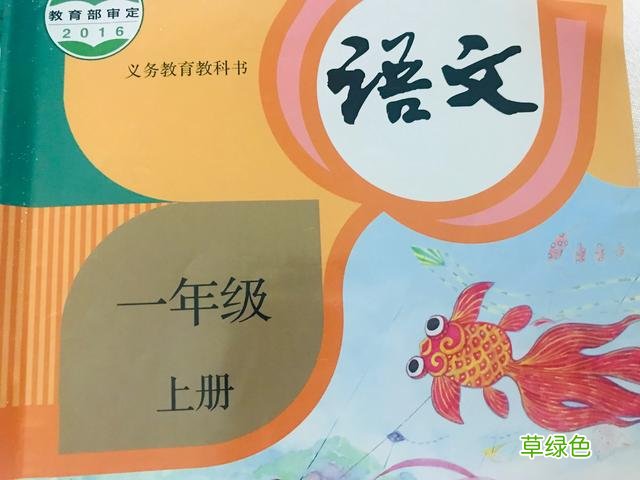 拼音基础要打牢，以后的语文学习也会变简单！看资深教师这样教 球的笔顺怎么写